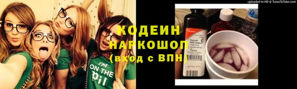 крисы Бугульма