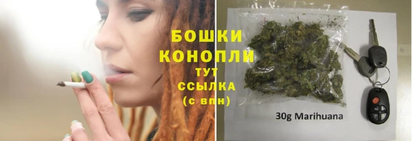 spice Бородино