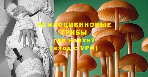 крисы Бугульма