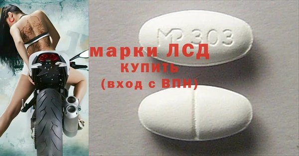 spice Бородино