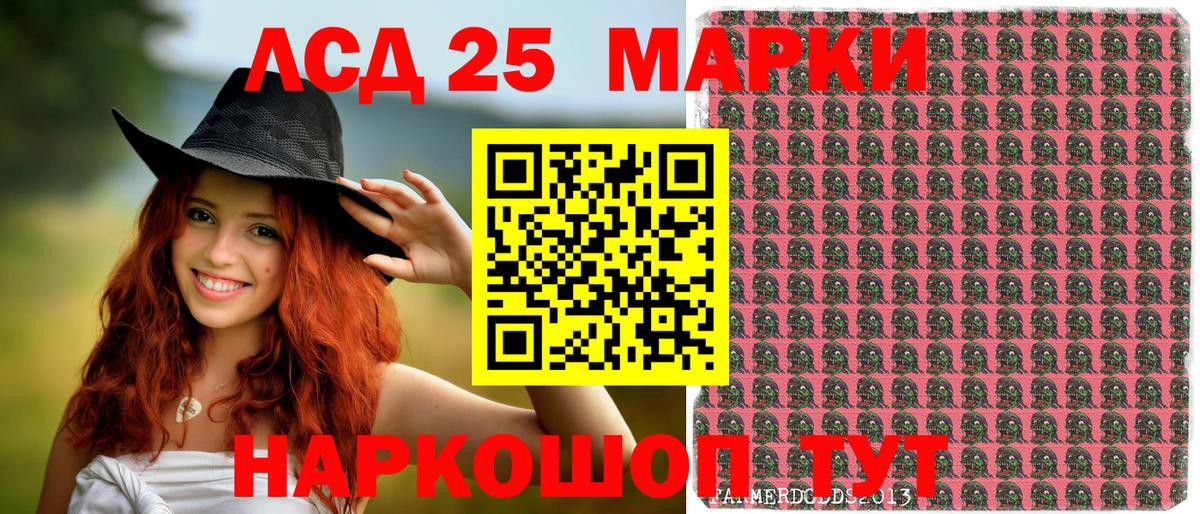 Наркотические марки  Марки N-bome 1,5мг  Выборг  Вход с VPN  Марки N-bome 1,5мг 
