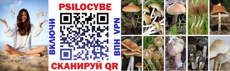 Галлюциногенные грибы ЛСД  закладка  Выборг 