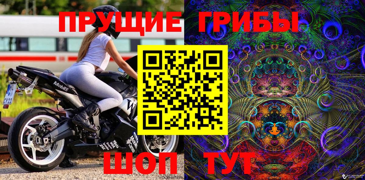 Галлюциногенные грибы прущие грибы  Вход с VPN  Галлюциногенные грибы мухоморы  Выборг 