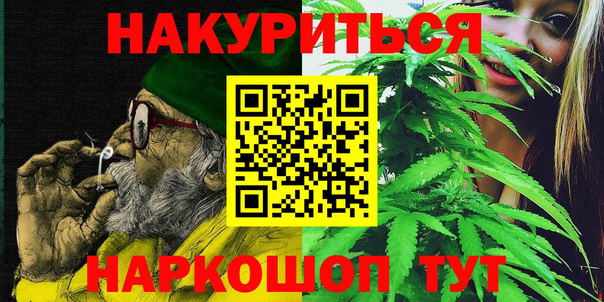 Конопля тримм  Вход с VPN  Выборг  Конопля семена  Бошки Шишки Bruce Banner  Бошки Шишки планчик 